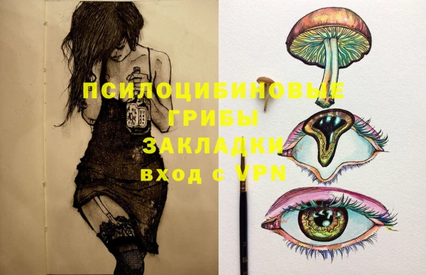ECSTASY Верхний Тагил