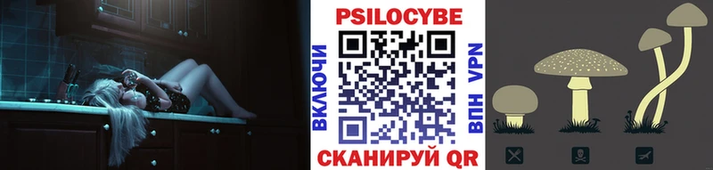 где продают наркотики  Жердевка  Псилоцибиновые грибы Psilocybe 